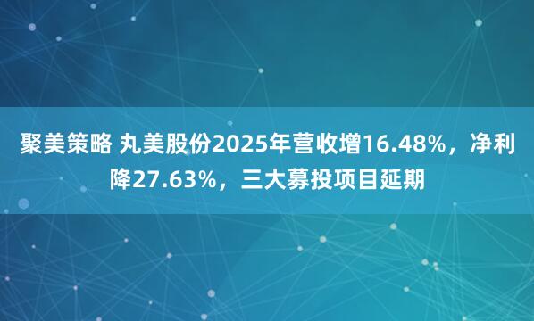 聚美策略 丸美股份2025年营收增16.48%，净利降27.63%，三大募投项目延期