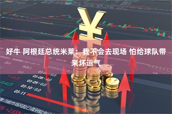 好牛 阿根廷总统米莱：我不会去现场 怕给球队带来坏运气