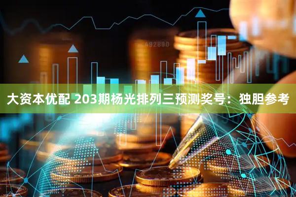 大资本优配 203期杨光排列三预测奖号：独胆参考